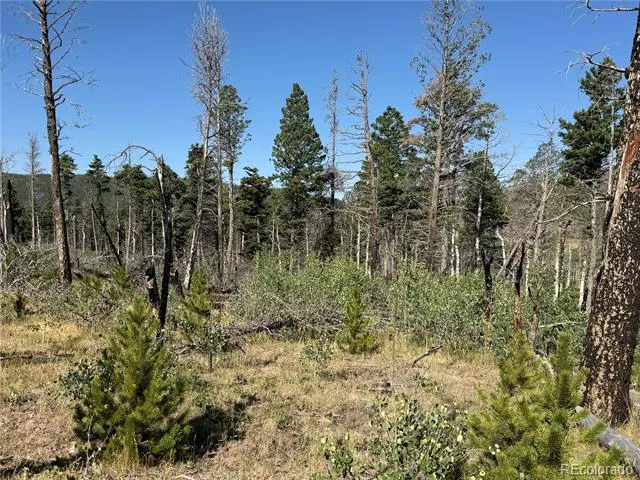 Lot 2498 Gilmartin Lane Fort Garland, CO 81133