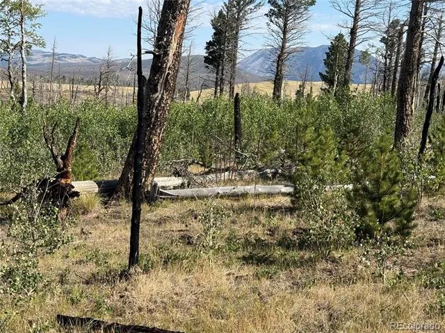 Lot 2498 Gilmartin Lane Fort Garland, CO 81133