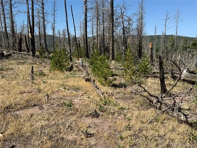 Lot 2498 Gilmartin Lane Fort Garland, CO 81133