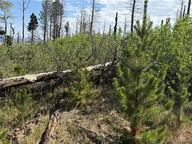 Lot 2498 Gilmartin Lane Fort Garland, CO 81133