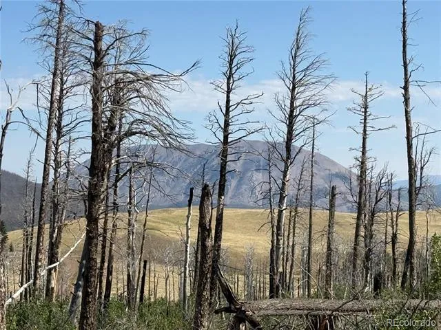Lot 2498 Gilmartin Lane Fort Garland, CO 81133