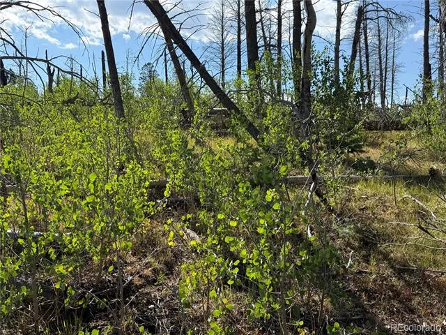 Lot 2498 Gilmartin Lane Fort Garland, CO 81133