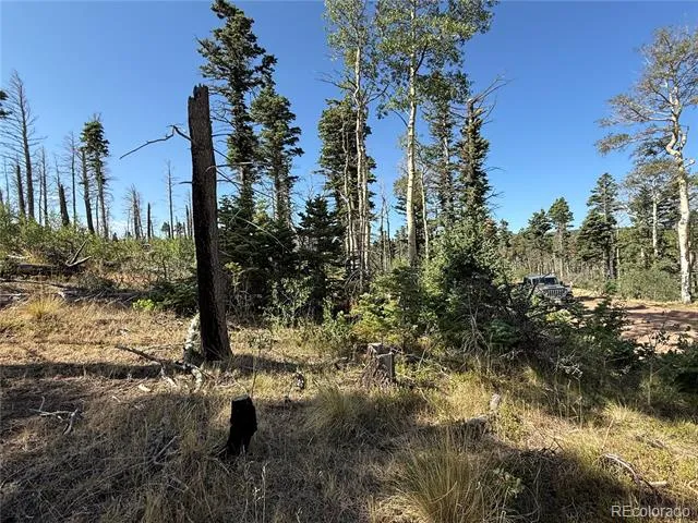 Lot 2498 Gilmartin Lane Fort Garland, CO 81133