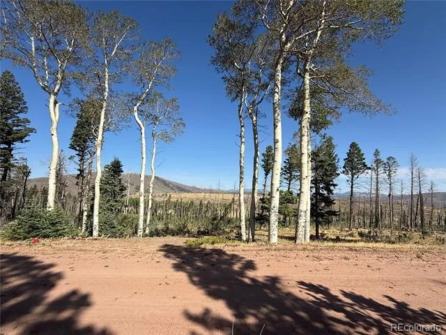 Lot 2498 Gilmartin Lane Fort Garland, CO 81133