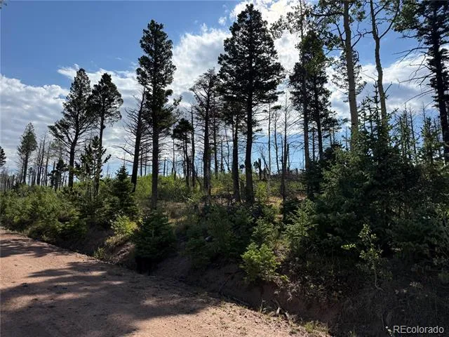 Lot 2498 Gilmartin Lane Fort Garland, CO 81133
