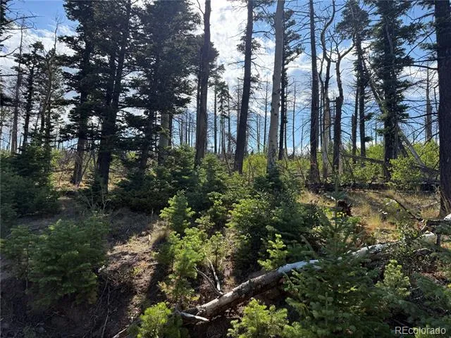 Lot 2498 Gilmartin Lane Fort Garland, CO 81133