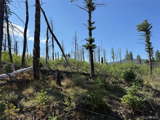 Lot 2498 Gilmartin Lane Fort Garland, CO 81133