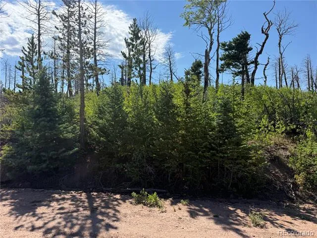 Lot 2498 Gilmartin Lane Fort Garland, CO 81133