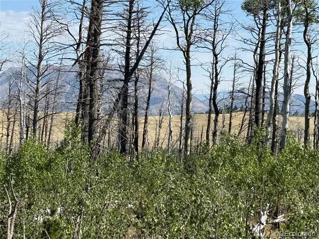 Lot 2498 Gilmartin Lane Fort Garland, CO 81133