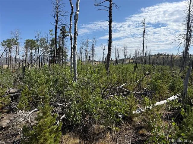 Lot 2498 Gilmartin Lane Fort Garland, CO 81133