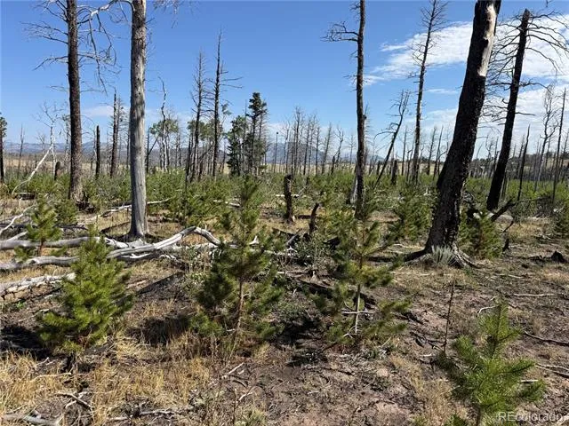 Lot 2498 Gilmartin Lane Fort Garland, CO 81133