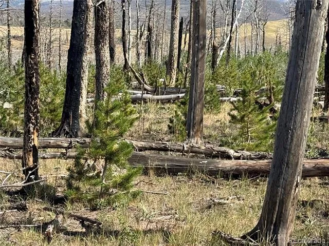 Lot 2498 Gilmartin Lane Fort Garland, CO 81133