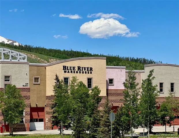 220 Buffalo Mountain Drive Silverthorne, CO 80498
