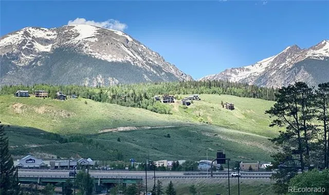 220 Buffalo Mountain Drive Silverthorne, CO 80498