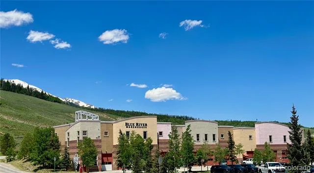 220 Buffalo Mountain Drive Silverthorne, CO 80498