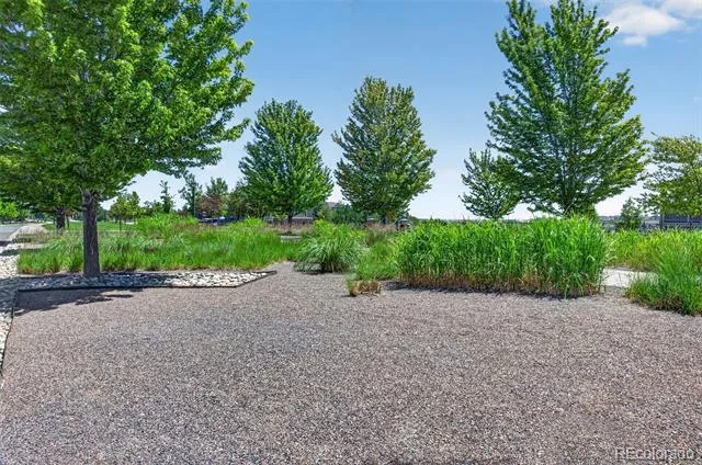 8169 S Blackstone Parkway Aurora, CO 80016