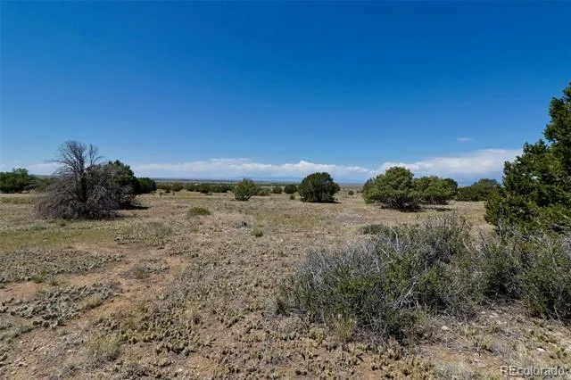 1563 Wagon Wheel Road Crestone, CO 81131