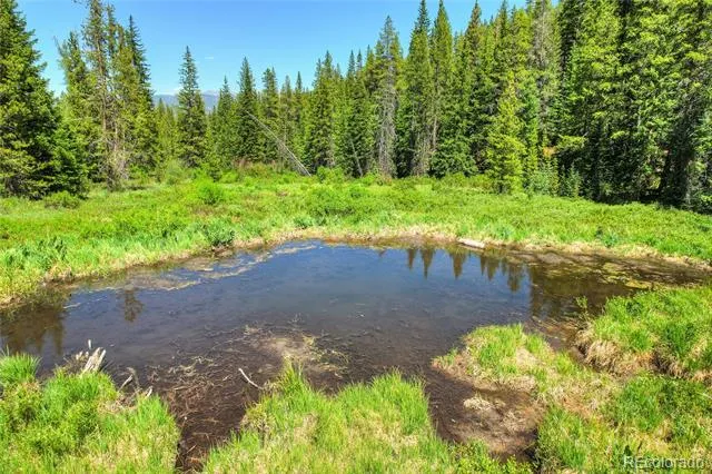 133 Adams Way Breckenridge, CO 80424