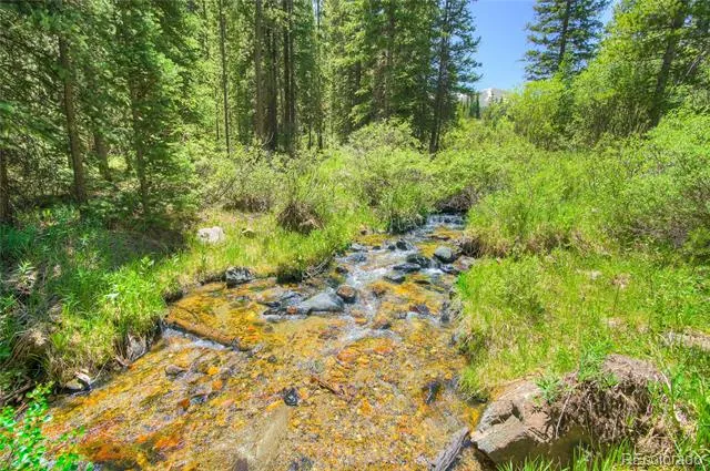 133 Adams Way Breckenridge, CO 80424