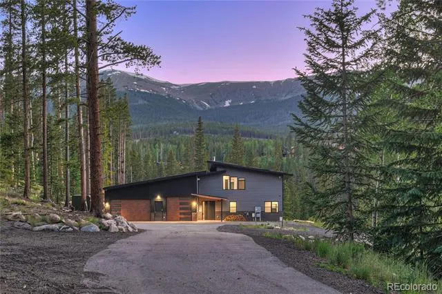 133 Adams Way Breckenridge, CO 80424