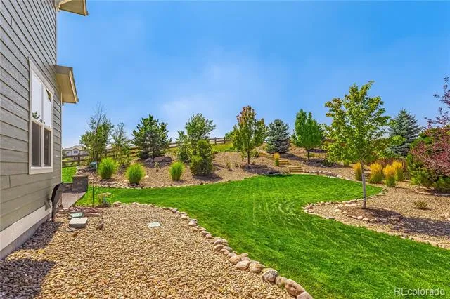 1650 Bent Wedge Point Castle Rock, CO 80109