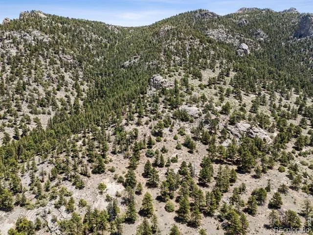 Lot 42 Governors Lane Estes Park, CO 80517