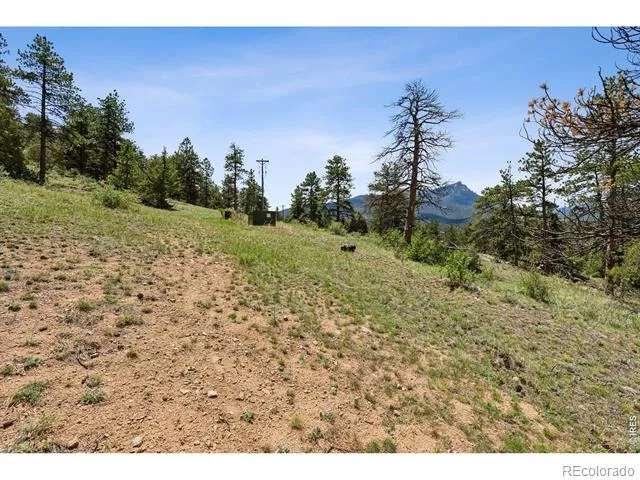 Lot 42 Governors Lane Estes Park, CO 80517
