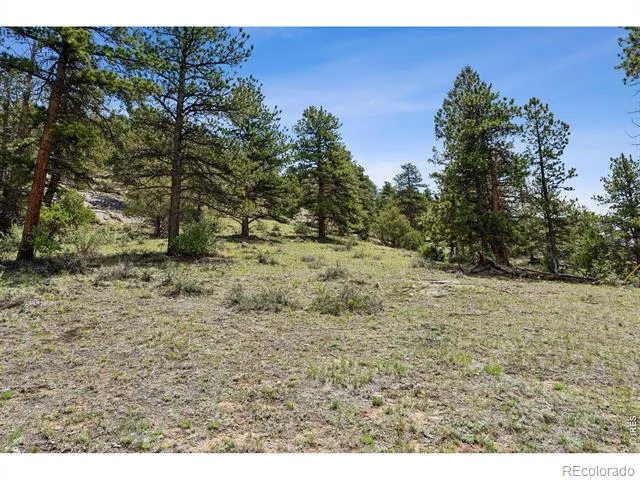 Lot 42 Governors Lane Estes Park, CO 80517