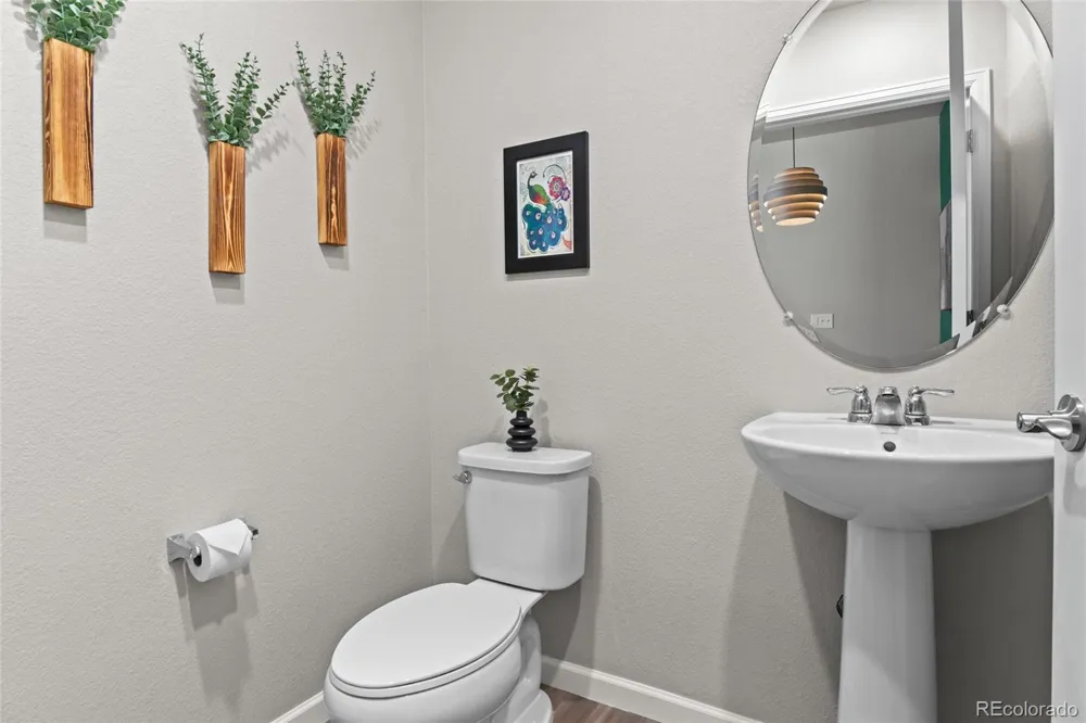 409 Millwall Circle Castle Rock, CO 80108