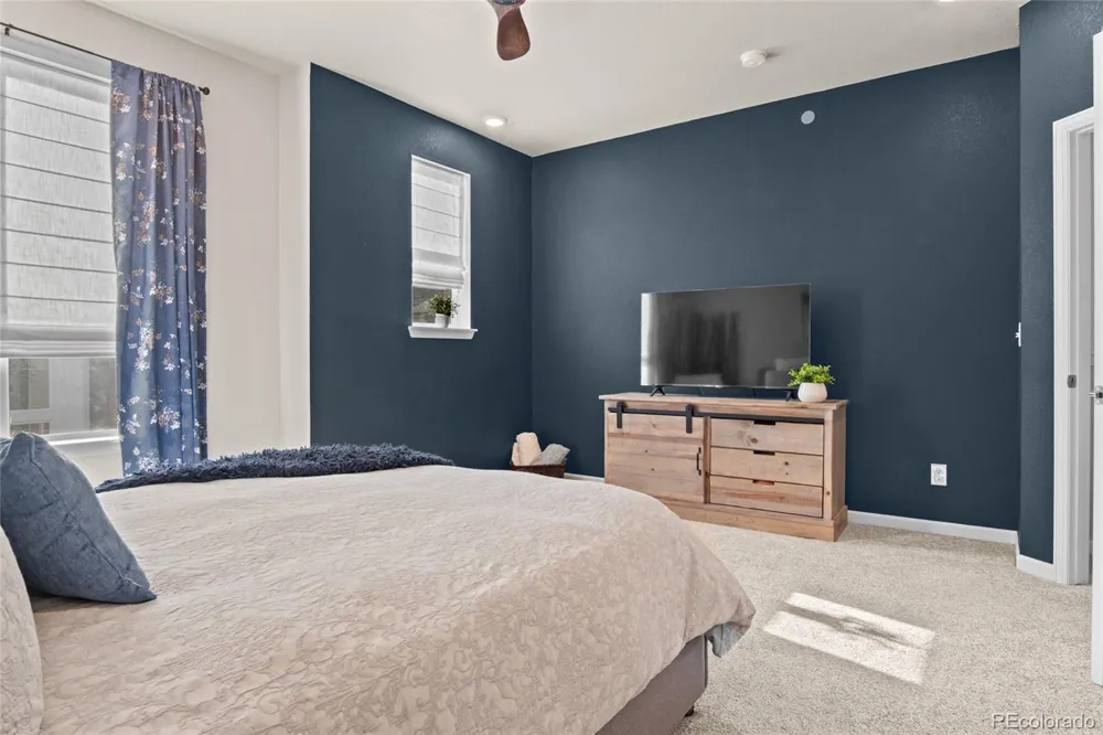 409 Millwall Circle Castle Rock, CO 80108
