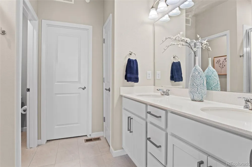 409 Millwall Circle Castle Rock, CO 80108