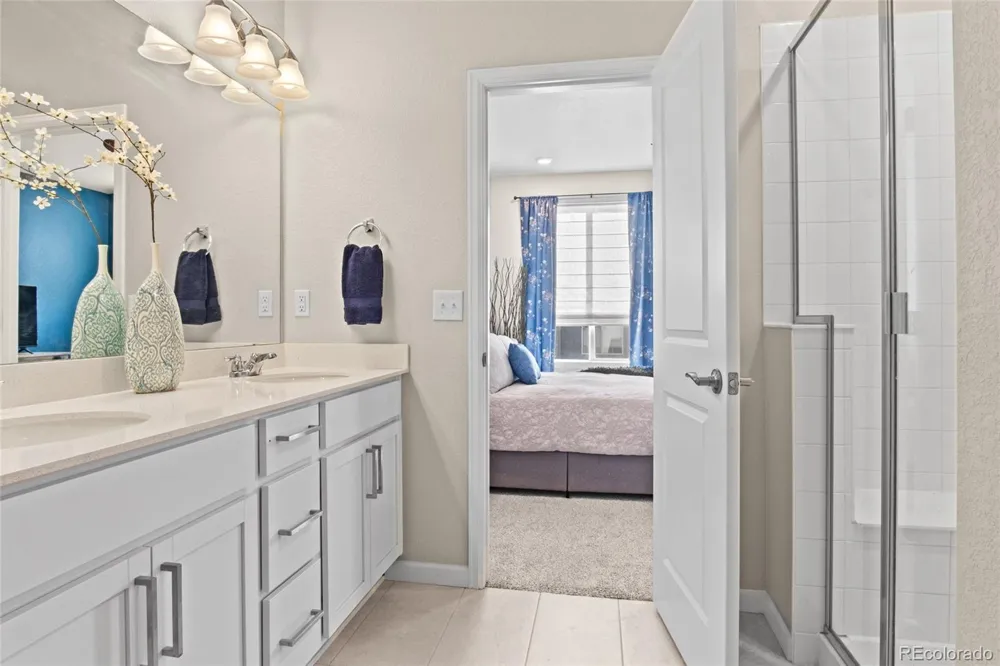 409 Millwall Circle Castle Rock, CO 80108