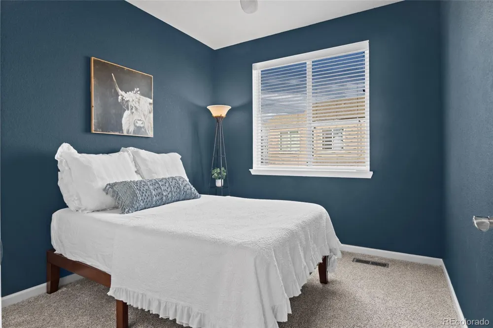 409 Millwall Circle Castle Rock, CO 80108
