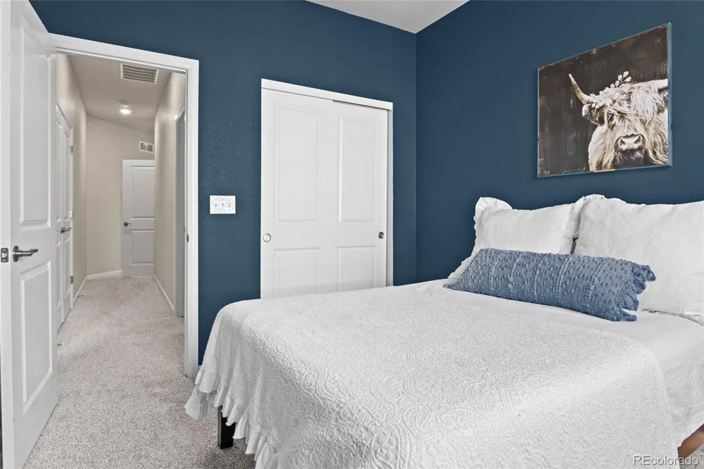 409 Millwall Circle Castle Rock, CO 80108