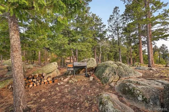 8510 Bobsled Trail Morrison, CO 80465