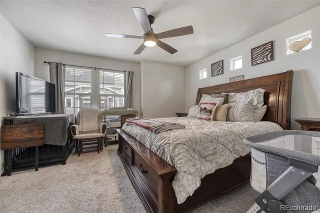3934 Quatar Court Aurora, CO 80019