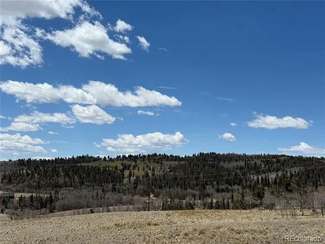 2327 Warrior Circle Como, CO 80432