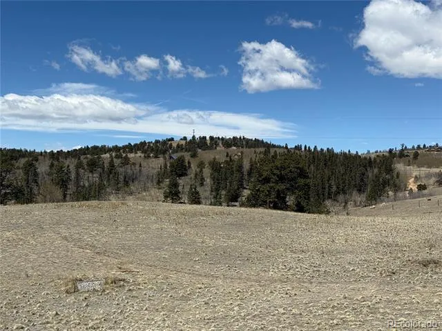2327 Warrior Circle Como, CO 80432