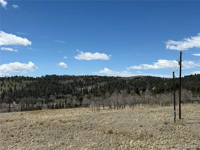 2327 Warrior Circle Como, CO 80432