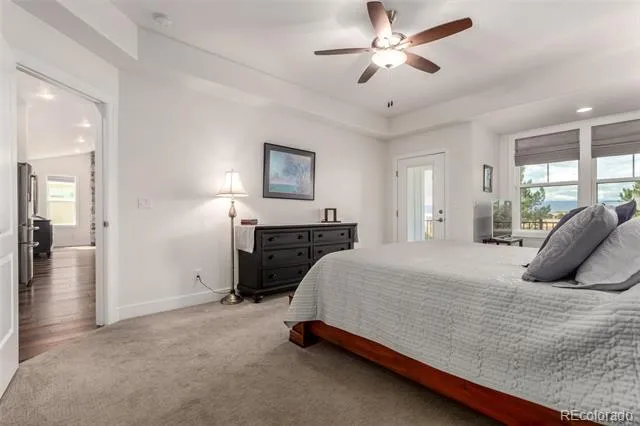 909 signal Court Timnath, CO 80547
