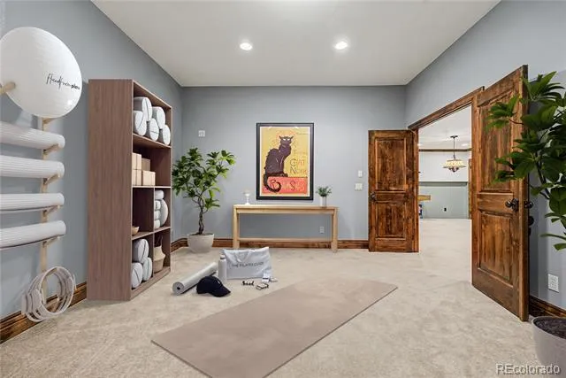 2553 Saddleback Court Castle Rock, CO 80104