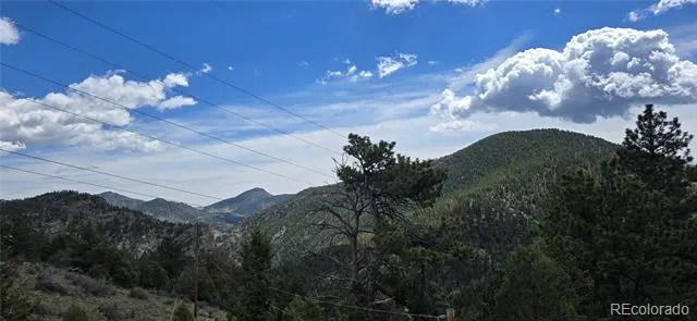 290 Elk Valley Drive Evergreen, CO 80439