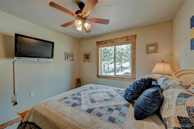 30280 Valley View Drive Buena Vista, CO 81211