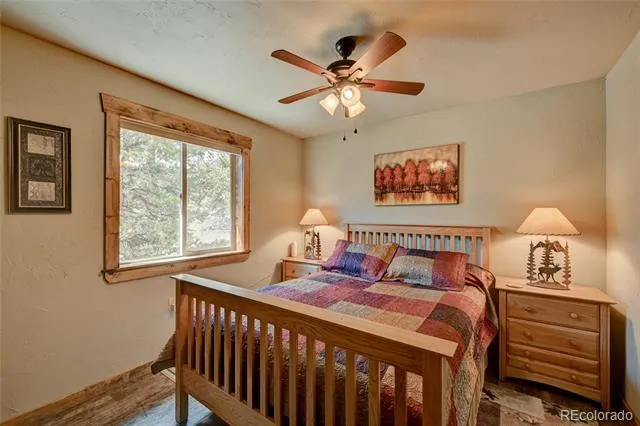 30280 Valley View Drive Buena Vista, CO 81211