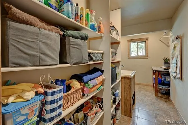 30280 Valley View Drive Buena Vista, CO 81211
