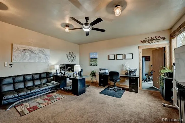 30280 Valley View Drive Buena Vista, CO 81211