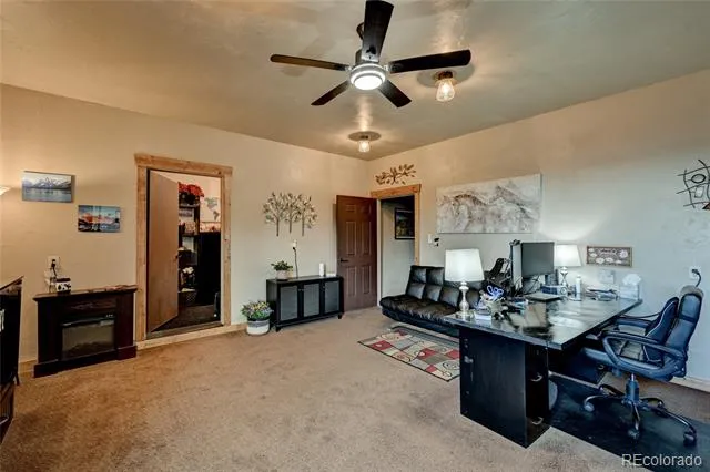 30280 Valley View Drive Buena Vista, CO 81211