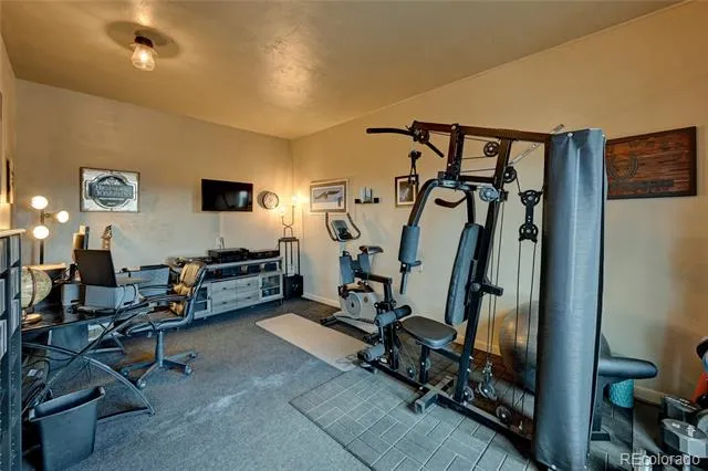 30280 Valley View Drive Buena Vista, CO 81211
