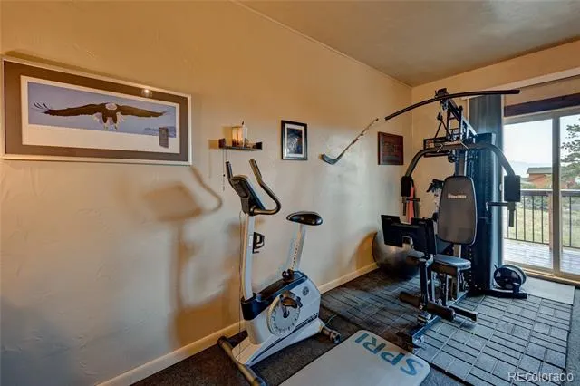 30280 Valley View Drive Buena Vista, CO 81211