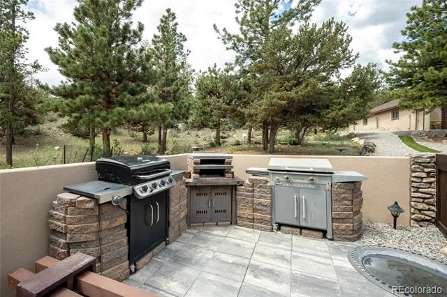 30280 Valley View Drive Buena Vista, CO 81211